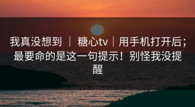 我真没想到 ｜ 糖心tv｜用手机打开后；最要命的是这一句提示！别怪我没提醒